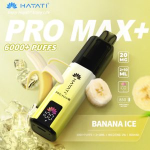 Hayati Pro Max Plus 6000 Puffs Disposable Vape